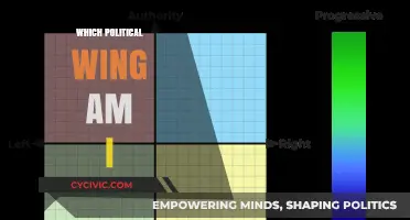 Discover Your Political Leanings: Left, Right, or Center?