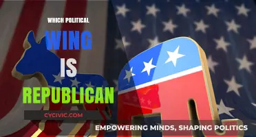Understanding the Republican Party's Political Wing and Core Principles