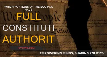 PCA Provisions: Constitutional Authority Explained