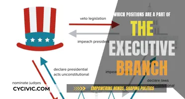 The Executive Branch: Key Positions and Their Powers
