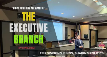 The Executive Branch: Key Positions and Their Powers