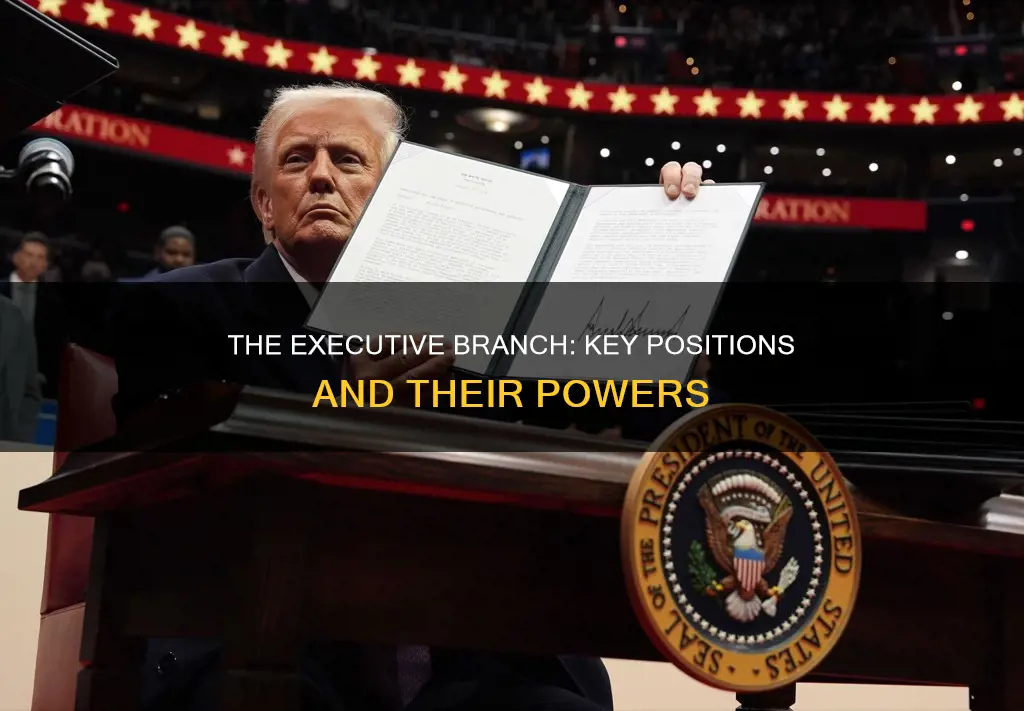 which positions are apart of the executive branch