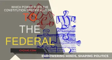 The Constitution's Denial of Federal Power: Exploring Limits