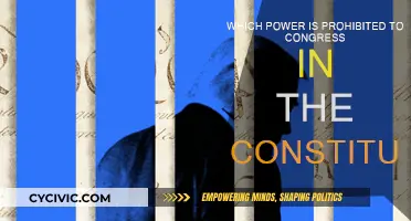 The Constitution: Powers Denied to Congress