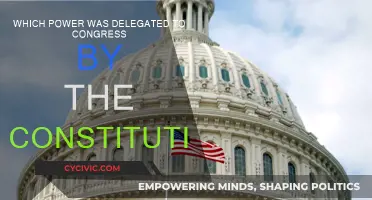 The Constitution's Power Delegation to Congress