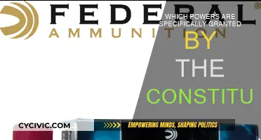 The Constitution's Explicitly Granted Powers