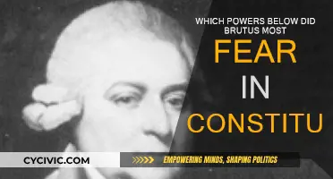 Brutus' Fear: The Constitution's Power Dynamic