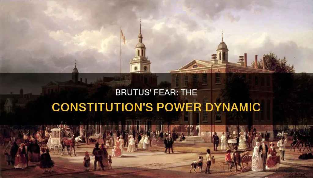 which powers below did brutus most fear in constitution