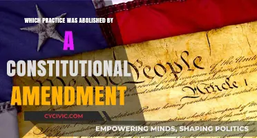 The End of Poll Taxes: Constitutional Amendment Impact