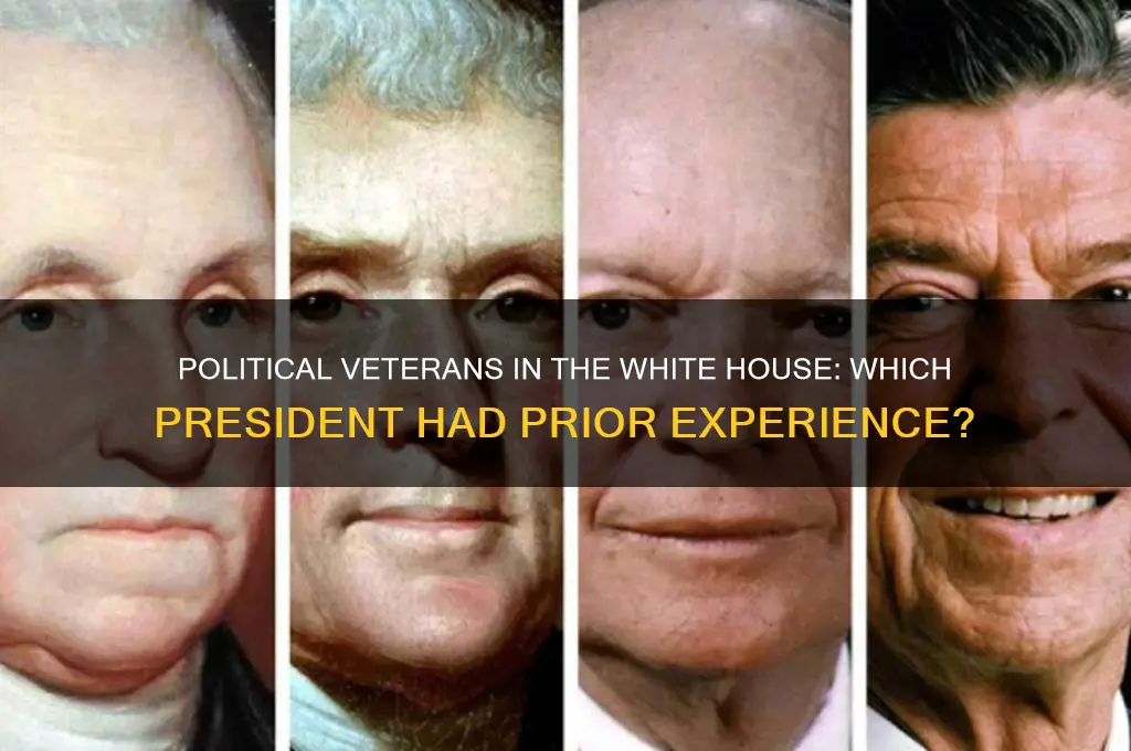 which president had political experience