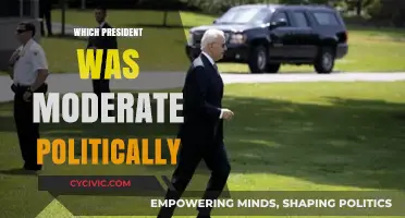 Moderate in the White House: A Presidential Political Balance