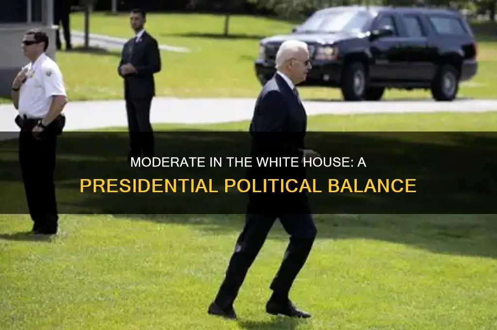 which president was moderate politically