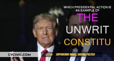 Unwritten Constitution: Presidential Actions and Their Impact