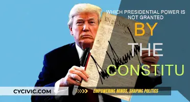 The President's Unconstitutional Powers: What's Missing?