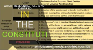 The Unspoken Presidential Role: What the Constitution Missed