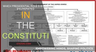 The Constitution's Presidential Powers Explored