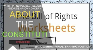 George Mason's Constitution Concern: What Principle Best Describes It?