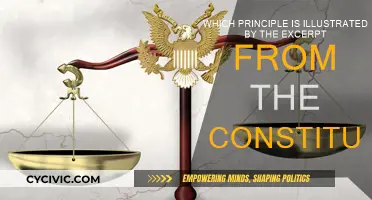 Understanding the Principles of the US Constitution