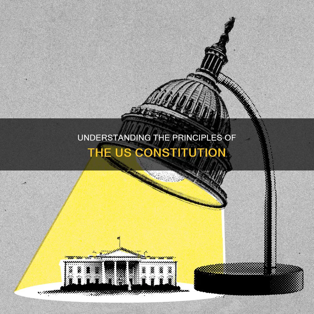 which principle is illustrated by the excerpt from the constitution