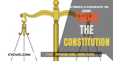 The Constitution's Guiding Principles Explored