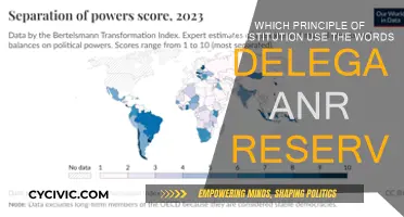 Understanding the Delegation and Reservation Principle