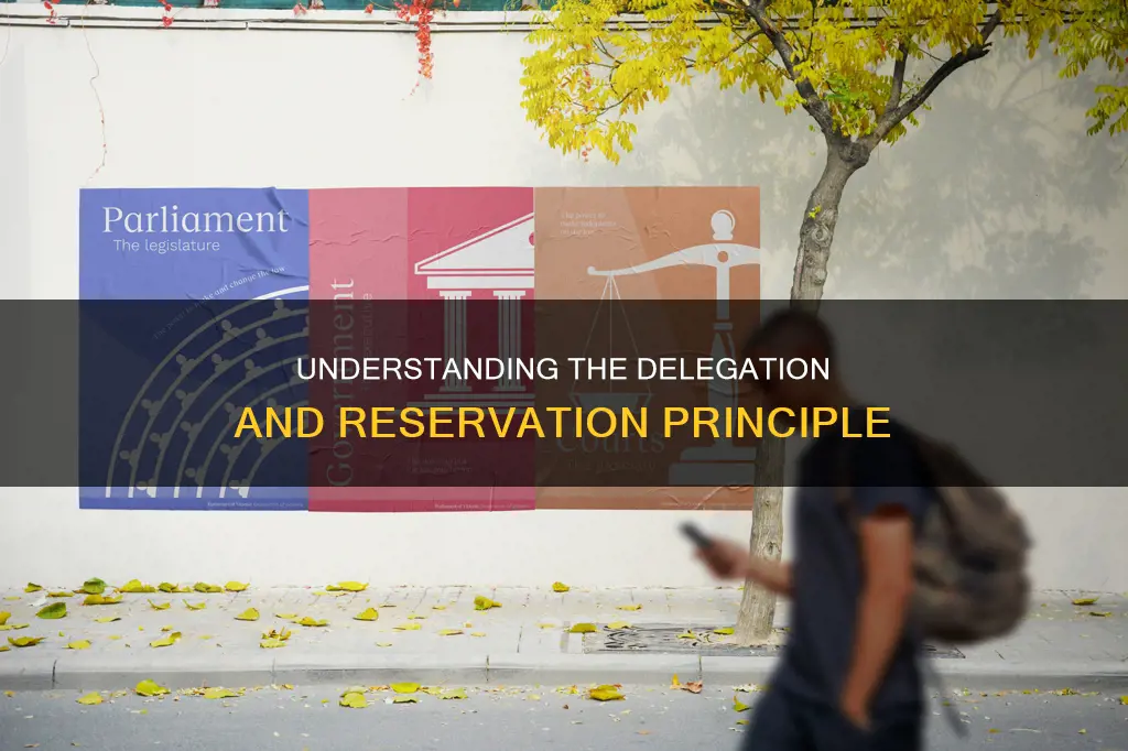 which principle of constitution use the words delegate anr reserve