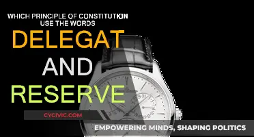 Understanding the Reserved and Delegated Powers of the Constitution