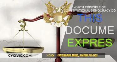 Understanding Democracy: Principles and Values