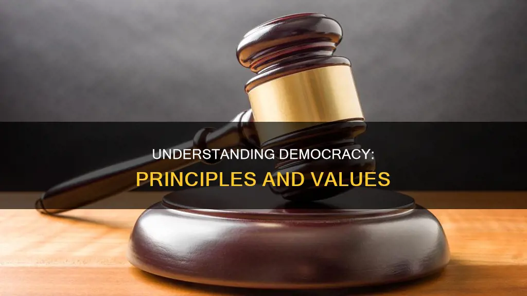 which principle of constitutional democracy does this document express