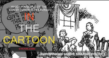 The Constitution's Principles: A Cartoon's Take