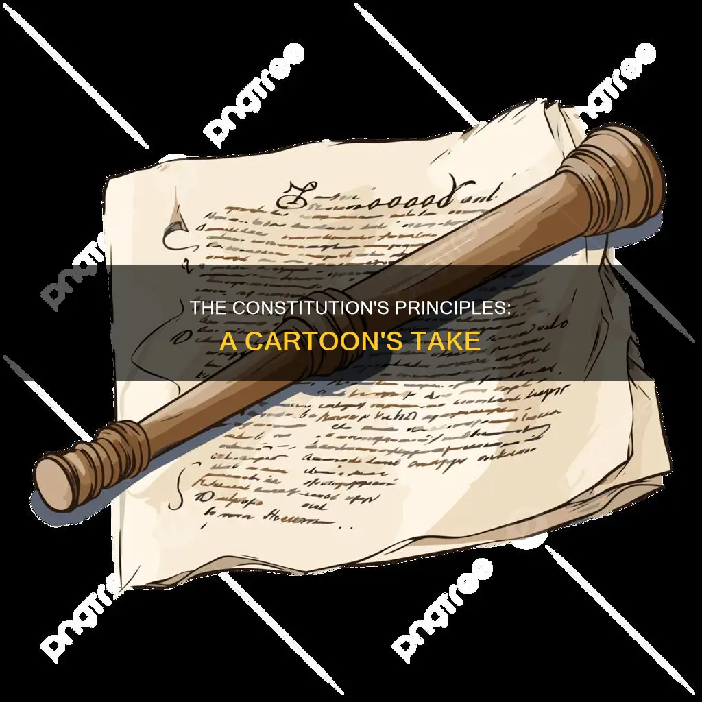 which principle of the constitution is featured in the cartoon