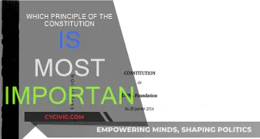 Our Constitution's Most Vital Principle: Exploring the Core