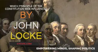 Exploring Locke's Influence on Constitutional Principles