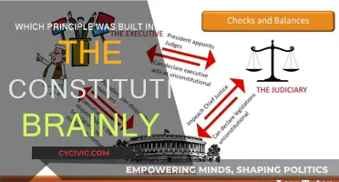 Founding Principles: The Constitution's Core Values