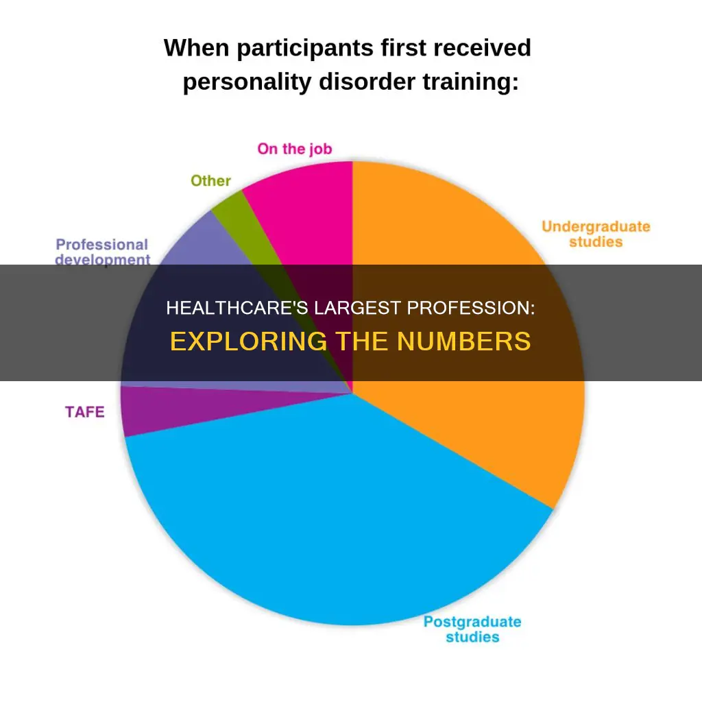 which profession constitutes the largest proportion of the healthcare profession