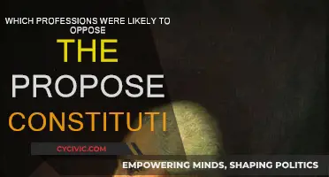 Who Opposed the Constitution?