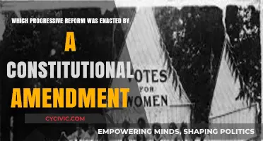 Progressive Reform: Constitutional Amendment Impact