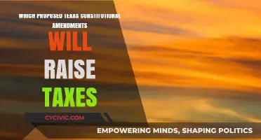 Texas Constitutional Amendments: Will Taxes Rise?