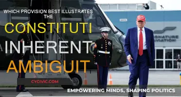 The Constitution's Inherent Ambiguity: A Founding Flaw