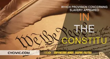 Slavery's Constitutional Provision: Understanding America's Dark Past