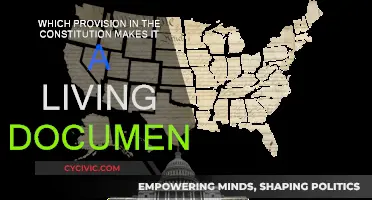 The Constitution's Living Legacy: A Dynamic Document