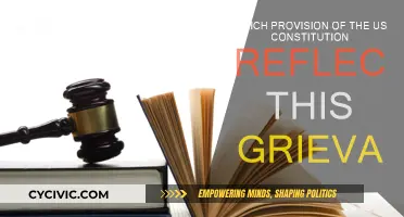 Understanding the Constitution: Grievances and Provisions