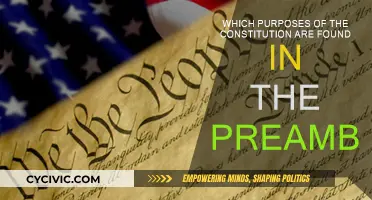 The Preamble: Constitution's Purpose and Principles