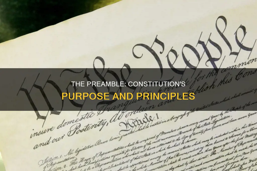 which purposes of the constitution are found in the preamble