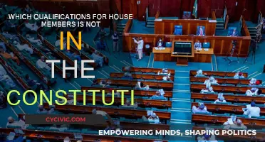 What House Members Need That's Not in the Constitution