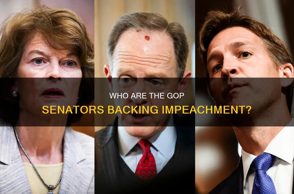 which republicans voted that impeachment trial is constitutional