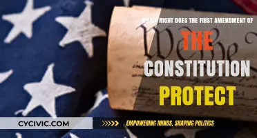 First Amendment: Our Right to Freedom of Expression