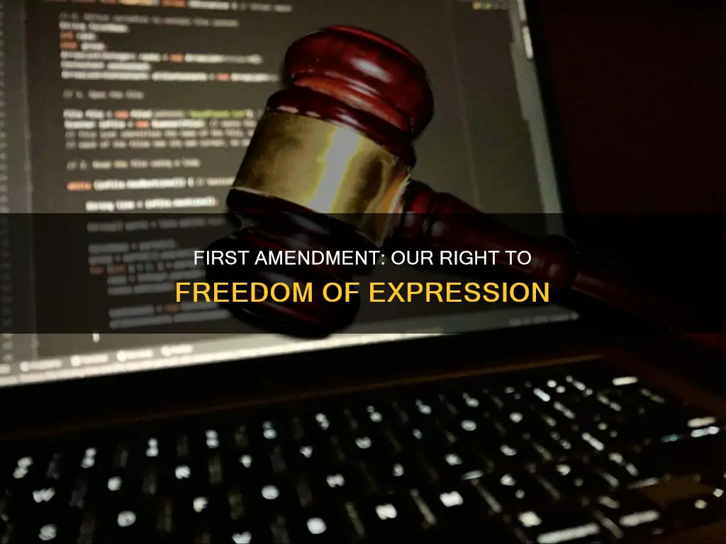 which right does the first amendment of the constitution protect