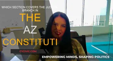 The Arizona Constitution's Judicial Branch Section