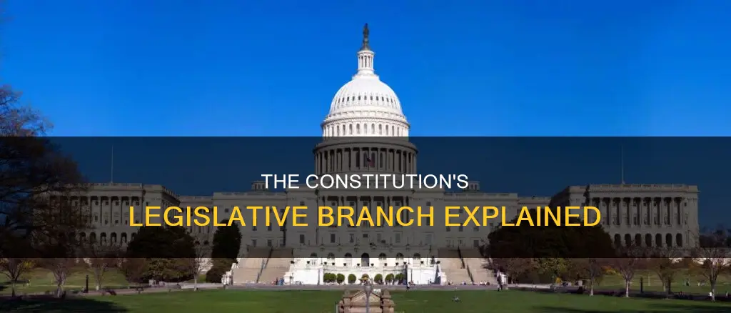 which section in the constitution describes our legislation